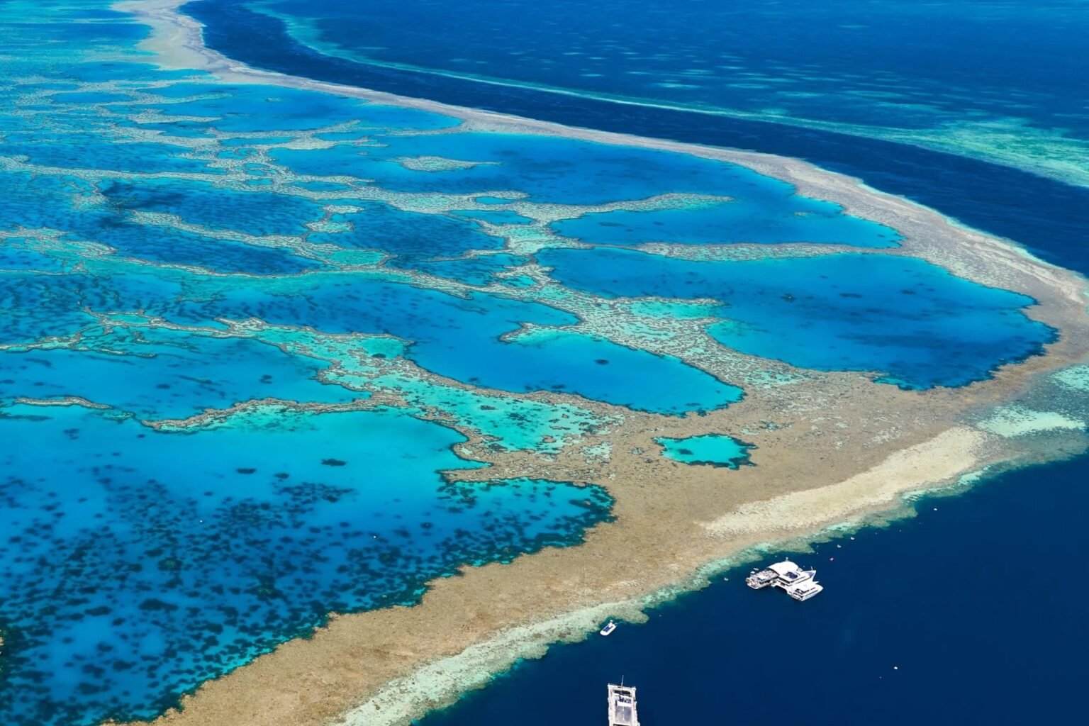 Australia - Barrera de Coral Cairns