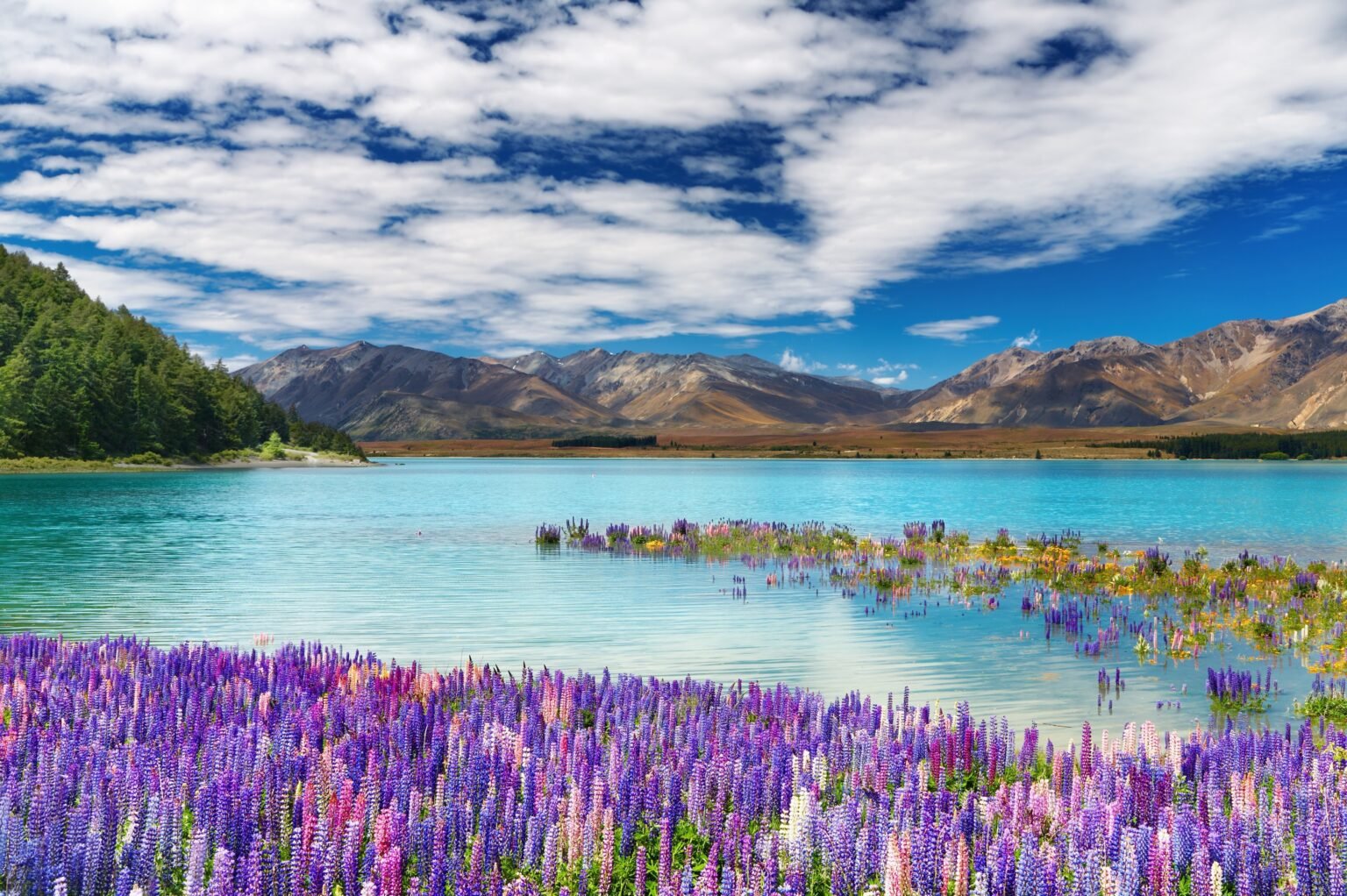 Lake Tekapo, South Island, New Zealand