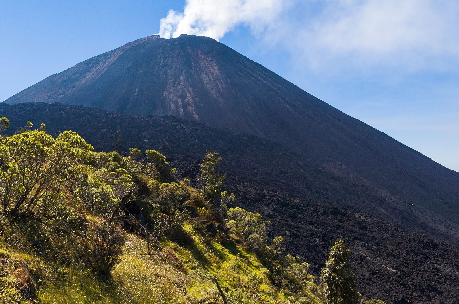 Guatemala - Volcan Pacaya